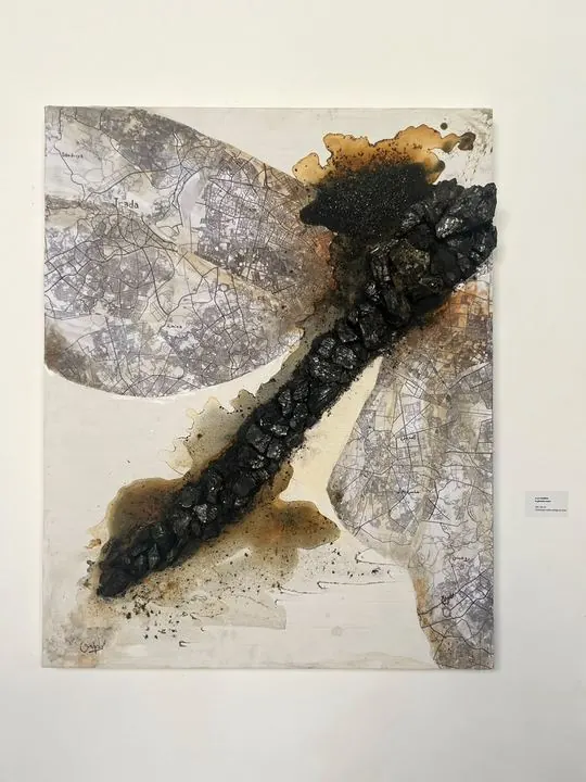 Libellule — Assia Oubdil